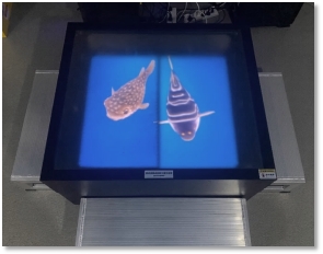 永利集团·yl8cc(中国游)官方网站